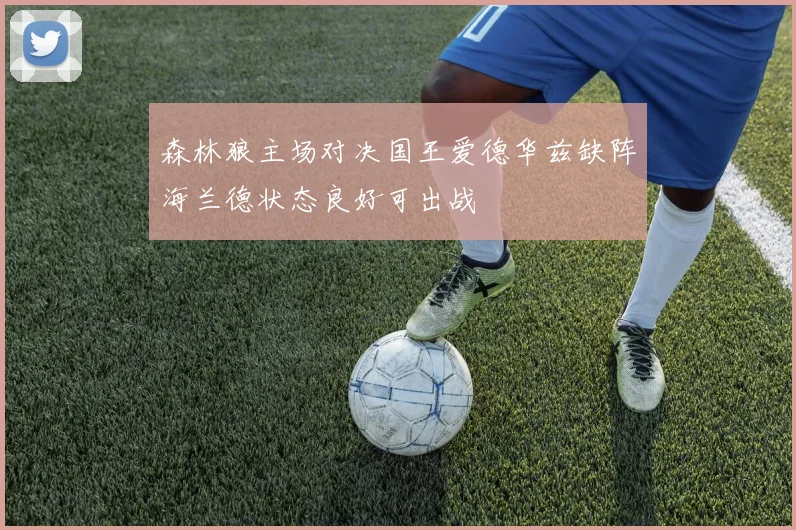 森林狼主场对决国王爱德华兹缺阵海兰德状态良好可出战