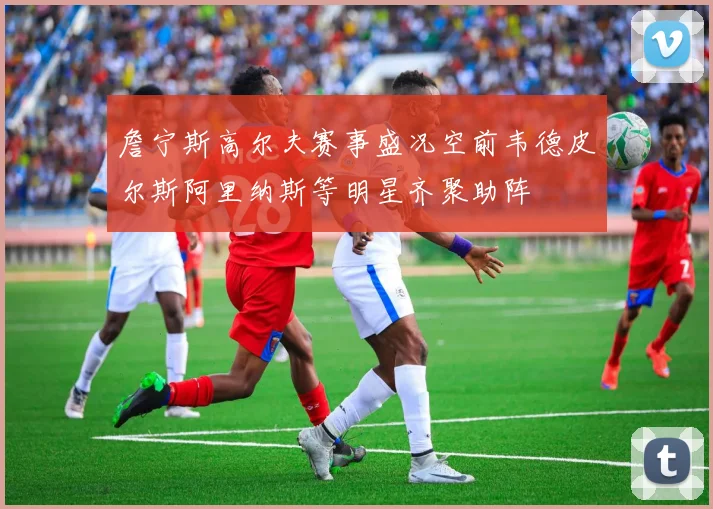 詹宁斯高尔夫赛事盛况空前韦德皮尔斯阿里纳斯等明星齐聚助阵